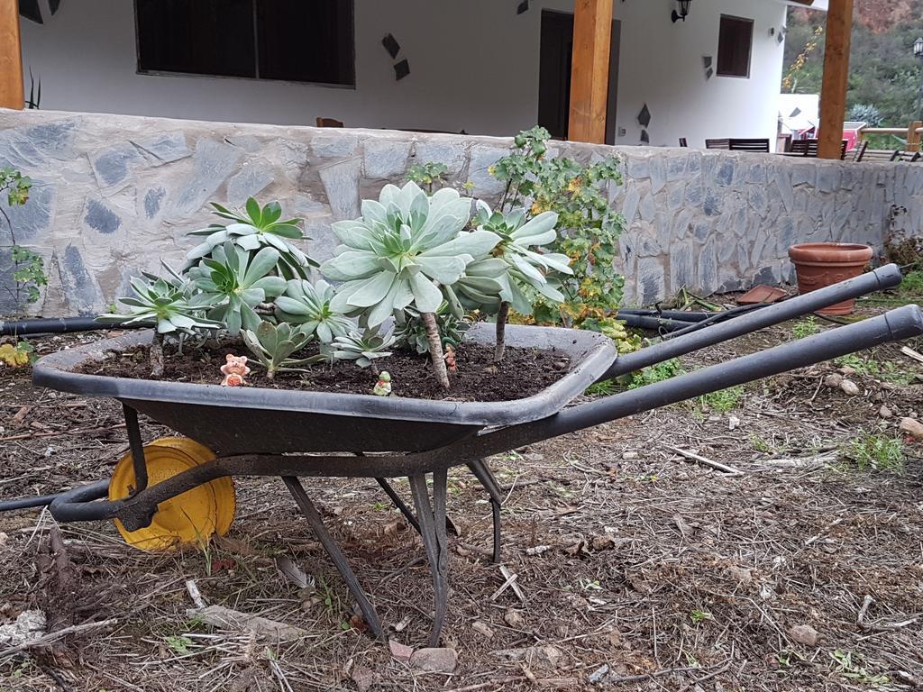 Casa Rural La Hoyita De Tunte San Bartolomé Exteriér fotografie