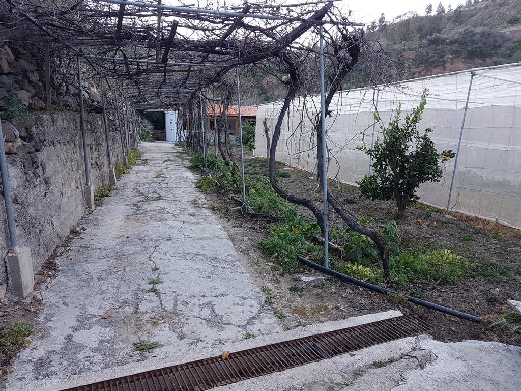 Casa Rural La Hoyita De Tunte San Bartolomé Exteriér fotografie