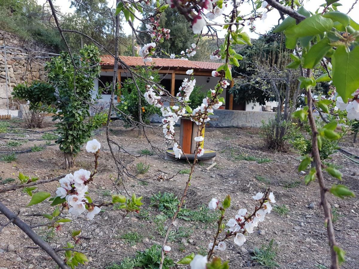 Casa Rural La Hoyita De Tunte San Bartolomé Exteriér fotografie