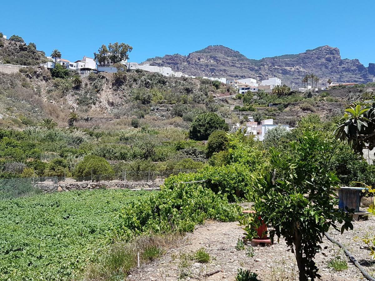 Casa Rural La Hoyita De Tunte San Bartolomé Exteriér fotografie
