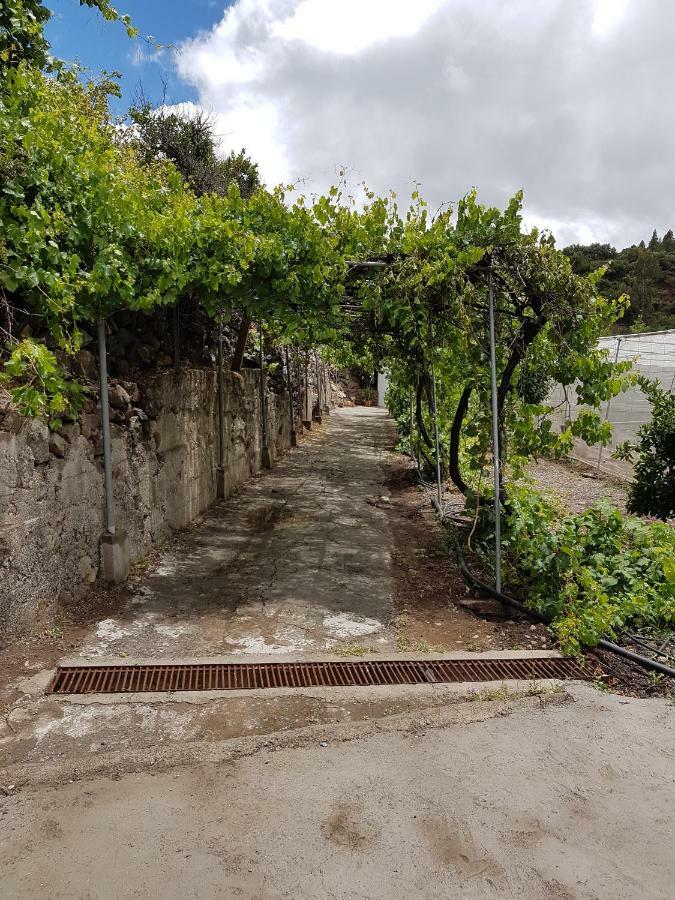 Casa Rural La Hoyita De Tunte San Bartolomé Exteriér fotografie