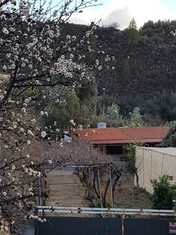 Casa Rural La Hoyita De Tunte San Bartolomé Exteriér fotografie